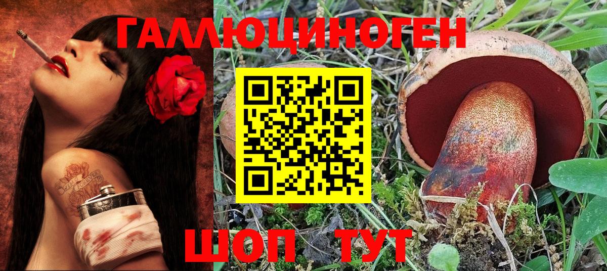 Галлюциногенные грибы Psilocybe Липецк